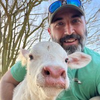 Cow Whisperer(@JR_Meier) 's Twitter Profile Photo