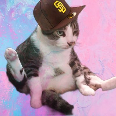 PadresPhatCat's profile picture. Foodie 🌮 | Beach Bum 🏝️ | @Padres Fan | @Diablo Gamer  | Meow 😸