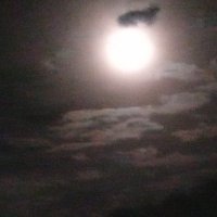 ∠ゆきみ (@yamanaka_yukimi) 's Twitter Profile