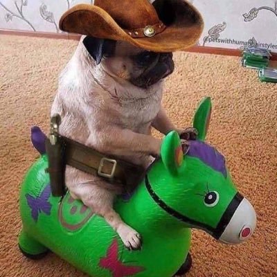 valgonz10's profile picture. What the heck