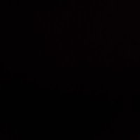 Schwegler 🏳️‍🌈🏳️‍⚧️ (@privateenis) 's Twitter Profile