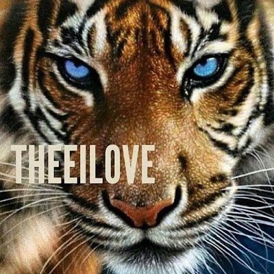 DemetriusG48979's profile picture. 