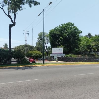 JavierH77796856's profile picture. 