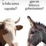 abelibarrah's profile picture. Si no tienes el coraje para conquistar y mantener tu libertad, no la mereces!!