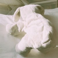nanaho (@onsen_uta) 's Twitter Profile Photo nanaho (@onsen_uta) 's Twitter Profile Photo