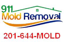 We are leaders in Mold and Mildew Removal for NY, NJ and CT. We will use this medium to inform our clients about tips and tricks in mold Removal.