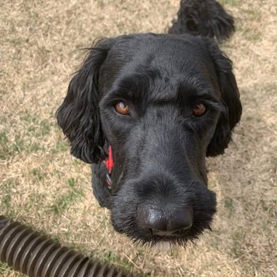 appleseed0874's profile picture. 