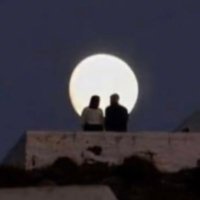 Lucidartist (@mallik360) 's Twitter Profile