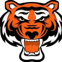 St. Louis Rawlings Tigers 15u Clout Head Coach | Lewis and Clark baseball alum |Mizzou alum | Hazelwood West Middle School history teacher