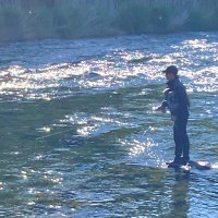 s.kojima🐟 (@flybaka112) 's Twitter Profile