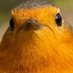 kat&kat2gether (@kat2gether23941) Twitter profile photo kat&kat2gether (@kat2gether23941) Twitter profile photo
