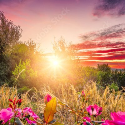 Be inspired by life and love. Respect makes the empires fall.
he / they