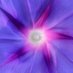 Dave's Organic Garden - Connecticut 🪻 (@davesorganic) Twitter profile photo Dave's Organic Garden - Connecticut 🪻 (@davesorganic) Twitter profile photo