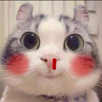 ta🫧เรียกตะต้า💗 (@tasasithon_bbb) 's Twitter Profile