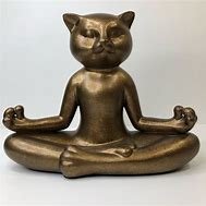 XMW5CAT's profile picture. 