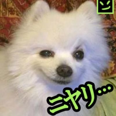 cactus_lava's profile picture. Chronically Online