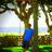 easye220's profile image