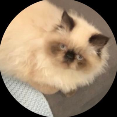 iretajj3's profile picture. ﴿ربي اغْفِرْلِي وَلِوَالِدَيَّ﴾