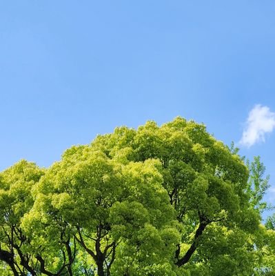 수.さんのプロフィール画像