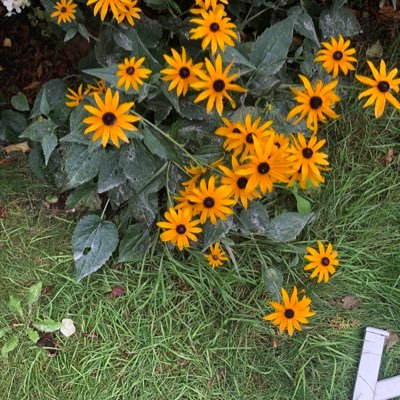 TruthmakesWaves's profile picture. 