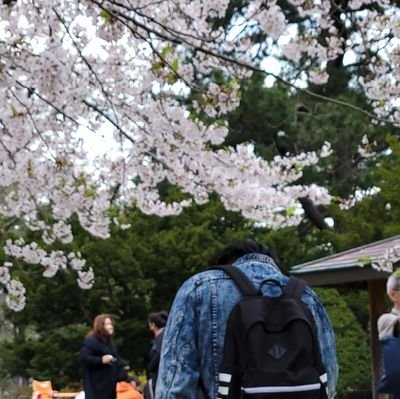 miaozerさんのプロフィール画像