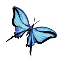 gldeagle (@gldeagle) 's Twitter Profile