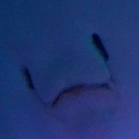 シル (@kingindou69) 's Twitter Profile
