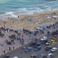 Alaa Alx 75 (@alaaalx75116138) 's Twitter Profile
