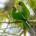 hawdam.a net2018 (@net2018a5448) Twitter profile photo hawdam.a net2018 (@net2018a5448) Twitter profile photo