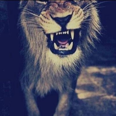 Ba_shaaa's profile picture. ﻟﻋنبــــو وقــــت
ﻏدينــــا ﺑهہ حطب 

تحرﻗهہ نــــارٍ
يثورهــــا أجير ...

مـا ألومـڪ اﻟزمــن
ســــوى اﻟﻋــــجب

هــــو ﺑﻗــــﻰ غير
اﻟڪراﻣهہ للجفير ...