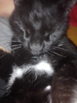 Lezmil8dj's profile picture. 