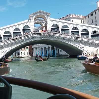 CimadamoreG's profile picture. 