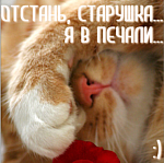 Председатель Совета РООИ Городская жизнь, Общественный инспектор по делам инвалидов Москвы (ЦАО) и тд.