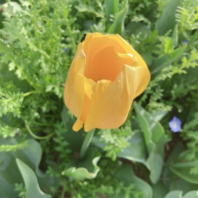 kiki_355's profile picture. I research on AI and security.