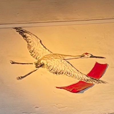 toyokawayokusen's profile picture. 豊川浴泉｜都電荒川線の面影橋駅と早稲田駅 共に徒歩5分の場所。｜営業時間16時〜23時30分｜定休日 月曜日と金曜日｜貸タオル50円（中）100円（大）｜無料アメニティ充実 ドライヤー 化粧水 シャンプー ボディソープ等｜＃銭湯 ＃早稲田 ＃面影橋 ＃豊川浴泉