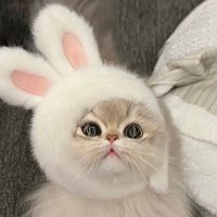 Ora 🇸🇦 (@ora2604) 's Twitter Profile