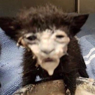 Jorts_And_Crocs's profile picture. I'm just a regular DOOD.