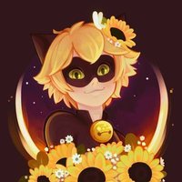 ᒪᗴᐯ𑁍 ia | Miraculous tales of 🍉 and 🥑(@levity_gravity) 's Twitter Profile Photo