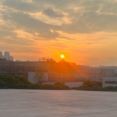 qyvtj49621483's profile picture. 