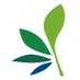 Rees Foundation (@reesfoundation) Twitter profile photo Rees Foundation (@reesfoundation) Twitter profile photo