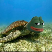 fuτileτurtle 🐢 (@futileturtle) 's Twitter Profile