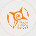 Radio Estación Sur (@EstacionSur917) Twitter profile photo