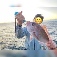 kissy (@kissy0827) Twitter profile photo