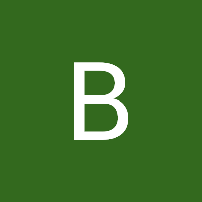 Brian Hopper Profile
