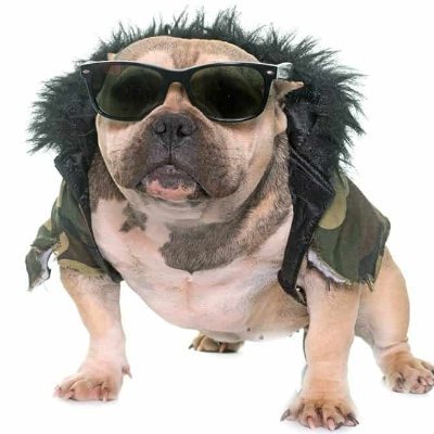 Netto-kritischer Hip Hop
Bitte streamt uns pls pls