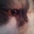 moonred0929's profile image