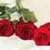 Dina Abu Dalu (@dinanabil634) Twitter profile photo Dina Abu Dalu (@dinanabil634) Twitter profile photo