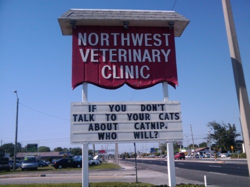 mafiamewmew's profile picture. 