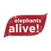 Elephants Alive (@elephantsalive) Twitter profile photo