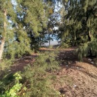 Cua Le ❤️ Memecoin (@cuale19) 's Twitter Profile